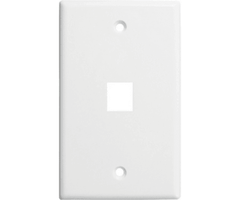 1 Port Wall Plate