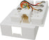 6C Modular Telephone Surface Jack - J2R Cabling Supplies
