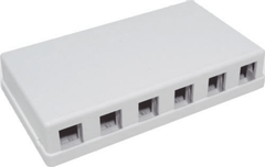 Blank Surface Mount Box, 6-Port