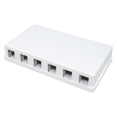 Blank Surface Mount Box, 6-Port