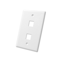 2 Port Wall Plate