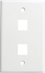 2 Port Wall Plate